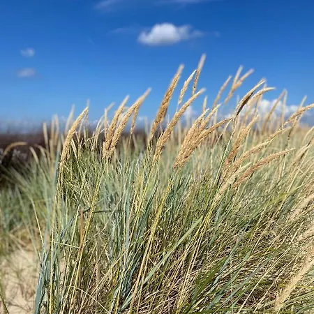 Strandlaeufer Apartman Cuxhaven